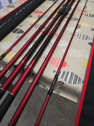 CAÑAS DAIWA TOURNAMENT CASTER EVO 35-425H BF