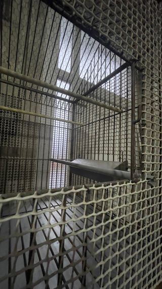 Jaula grande para pájaros