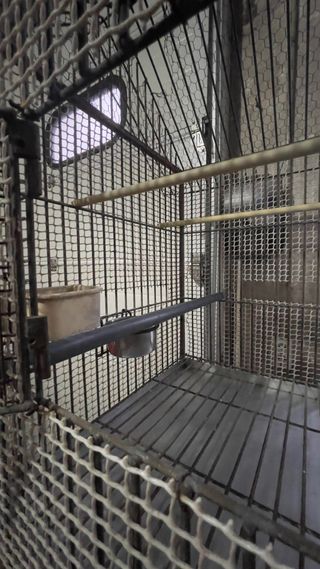 Jaula grande para pájaros