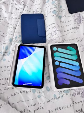 iPad Mini 6ª Gen 256GB