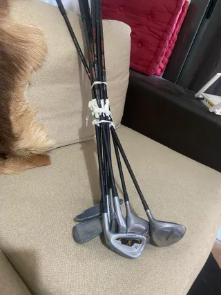 Set de Palos de Golf Wilson