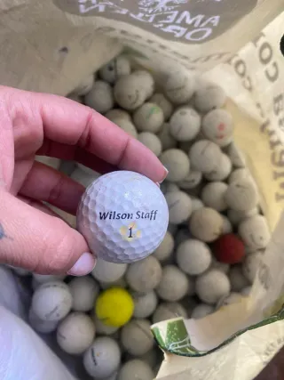 Set de Palos de Golf Wilson