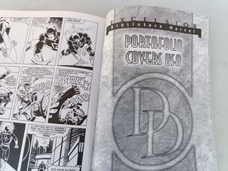 DAREDEVIL- BIBLIOTECA MARVEL EXCELSIOR (PLANETA)