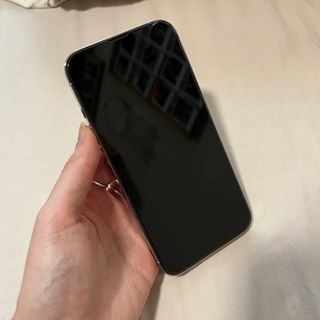 iPhone 13 Pro 256GB + Caricabatterie + Custodia