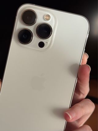 iPhone 13 Pro 256GB + Caricabatterie + Custodia