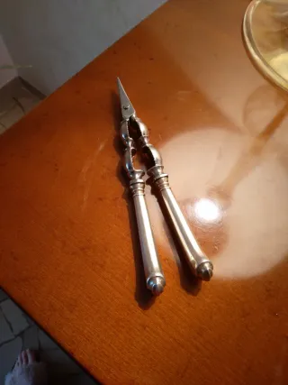 Rompi chele in argento