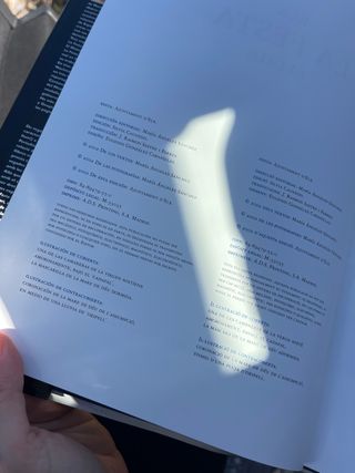 ELX. LA FESTA. ELCHE.