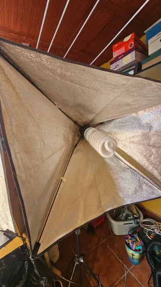 2 Focos Softbox Estudio Fotografía