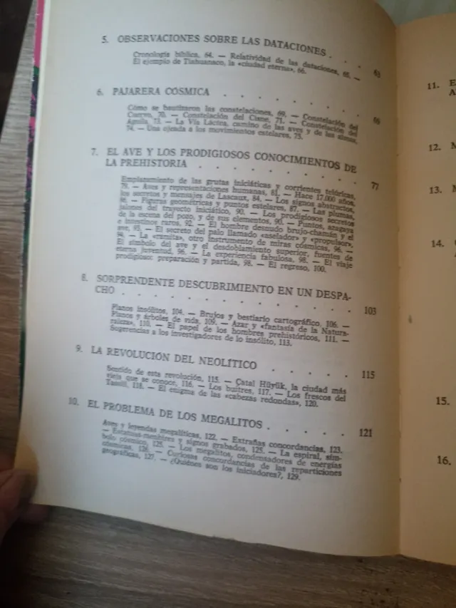 Las Aves Mensajeras De Los Dioses