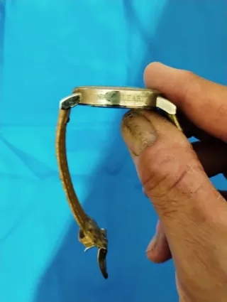 Orologio Najoleari donna con strass