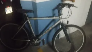 Bicicleta 21 marchas plateada