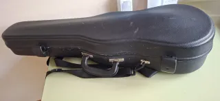 Funda de viola
