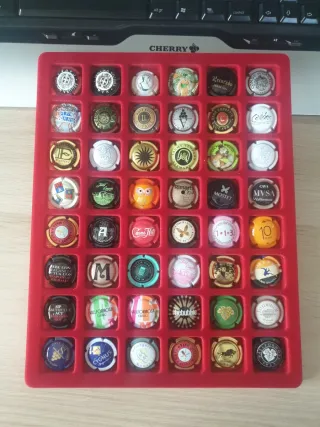 Collezione di 48 bottiglie di cava con vari design e marchi