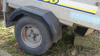 Remolque Trelgo para perros