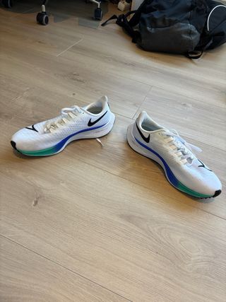 Zapatillas Nike Pegasus 37 Multicolor