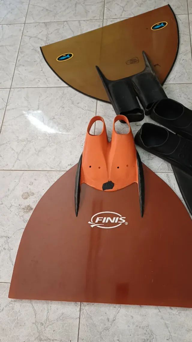 Monoaletas competicion de natación 44/46  y 42/44