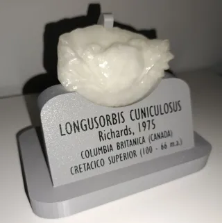 Reproducción cangrejo fosil Longusorbis Cuniculosu