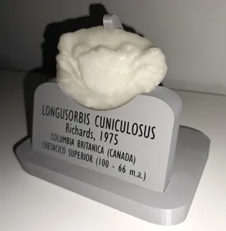 Reproducción cangrejo fosil Longusorbis Cuniculosu