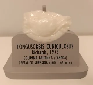 Reproducción cangrejo fosil Longusorbis Cuniculosu