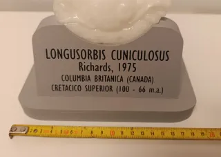 Reproducción cangrejo fosil Longusorbis Cuniculosu