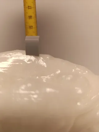 Reproducción cangrejo fosil Longusorbis Cuniculosu