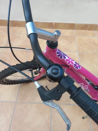 Bicicleta Infantil Rosa