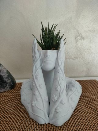 Vaso decorativo pianta grassa