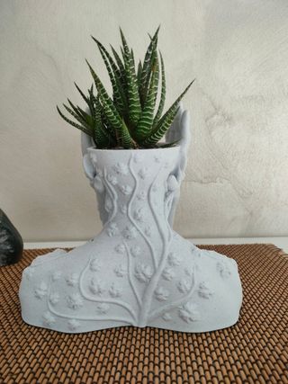 Vaso decorativo pianta grassa