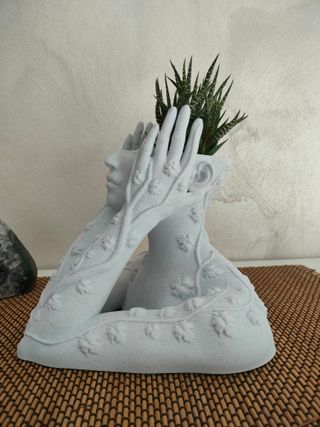 Vaso decorativo pianta grassa