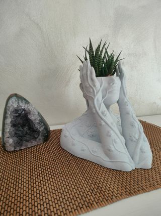 Vaso decorativo pianta grassa