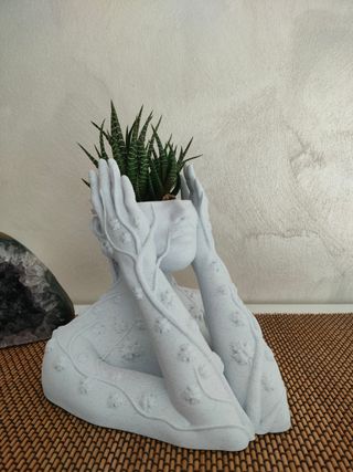 Vaso decorativo pianta grassa