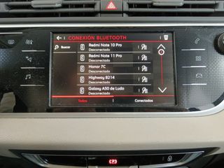 Citroën C4 Spacetourer Rip Curl