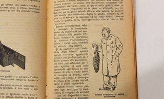 Come L'Ape Vive E Va Coltivata - Vintage Raro