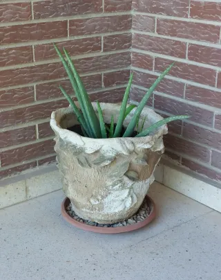 Macetero Piedra 27cm Alto x 30cm Diámetro