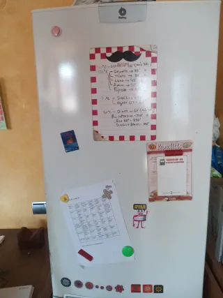 Frigorífico Nevera No Frost Balay