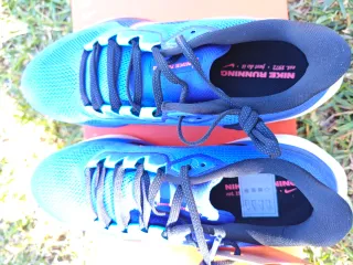 Nike Air Zoom Pegasus 41 Azul/Rosa