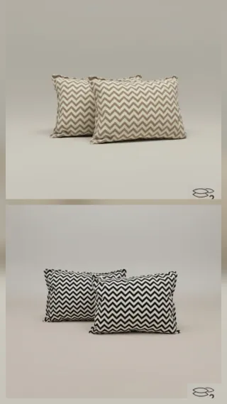 Pack cojines 50x35 espiga