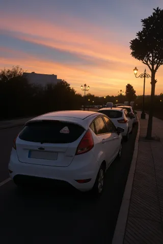 Ford fiesta Ford fiesta 2010