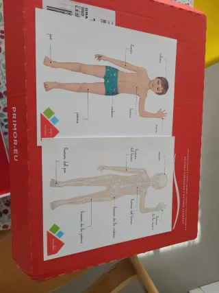 Puzzle Cuerpo Humano Montessori Clementoni