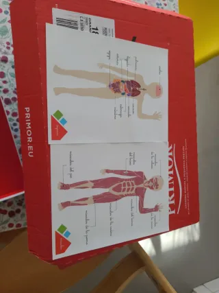 Puzzle Cuerpo Humano Montessori Clementoni