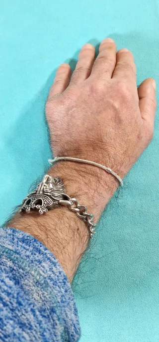 Piel de Serpiente, 16cm y 9 gramos de Plata 925