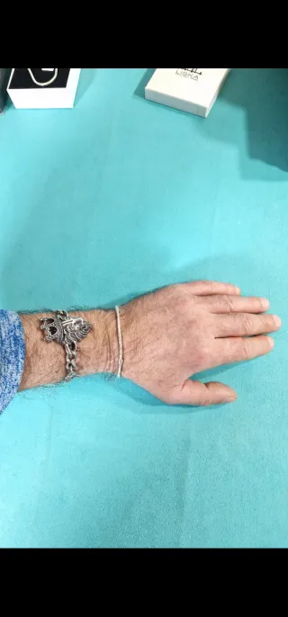 Piel de Serpiente, 16cm y 9 gramos de Plata 925