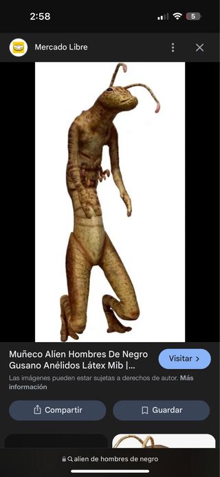 Suspensión para zurdini