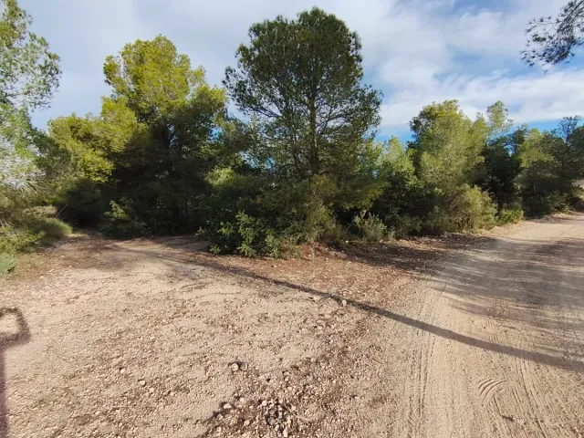 TERRENO EN OLOCAU: TU REFUGIO CON VISTAS AL MAR