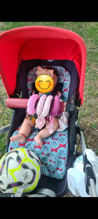 Carrito Bugaboo Rojo y Rosa