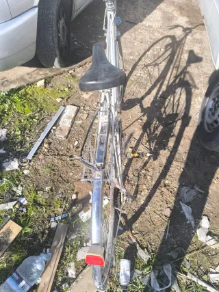 Bicicleta Clásica Plateada