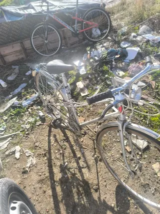 Bicicleta Clásica Plateada