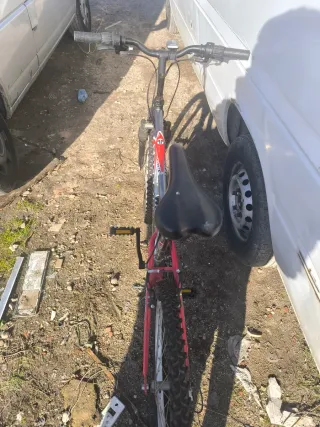 Bicicleta Clásica Plateada