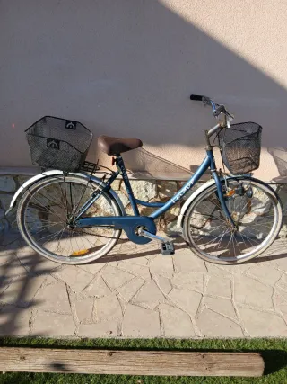 Bicicleta de paseo azul con cestas