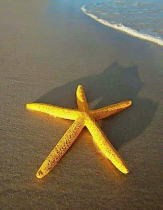 Sra empleada de hogar.